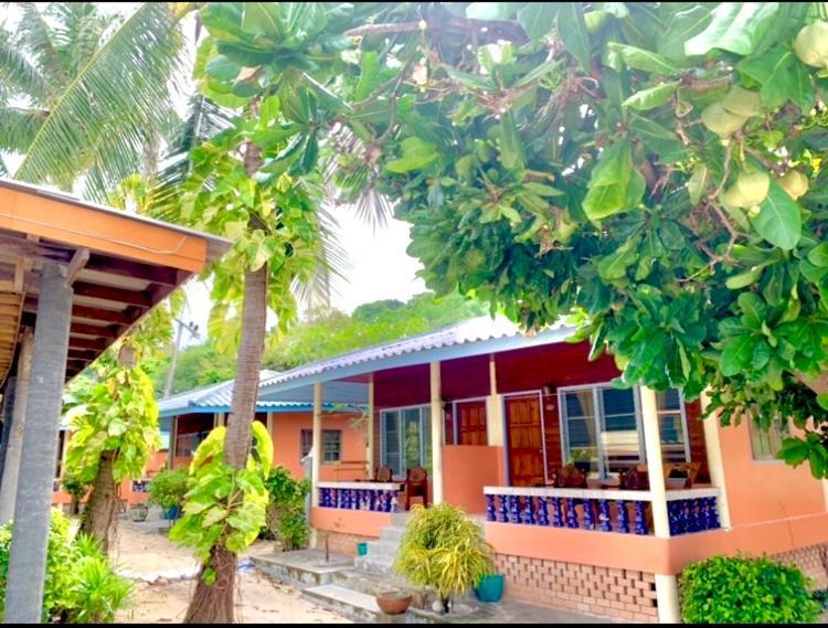 Tropicana 2*