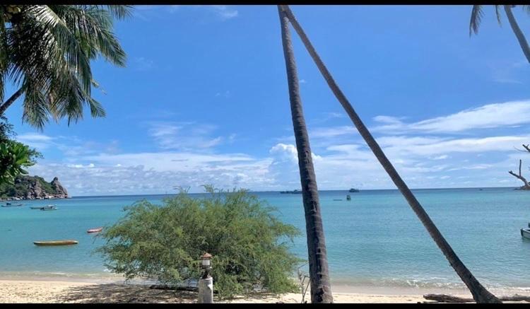 Tropicana 2*