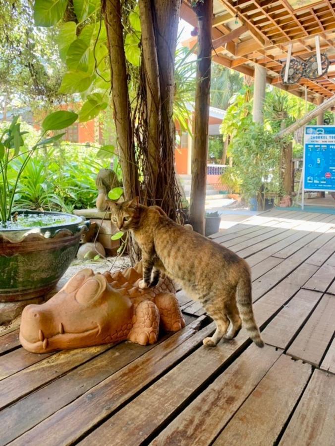 Tropicana 2* Koh Tao