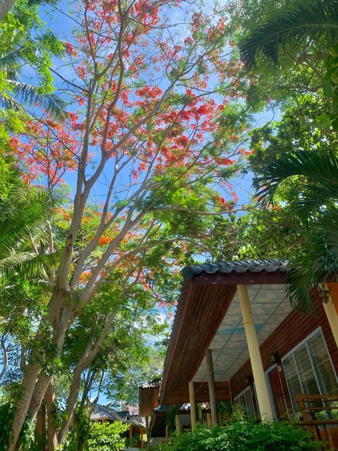 Hotel Tropicana 2*