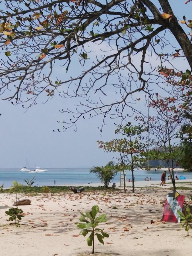 The Title Residencies Naiyang Pool View Apartment Nai Yang
