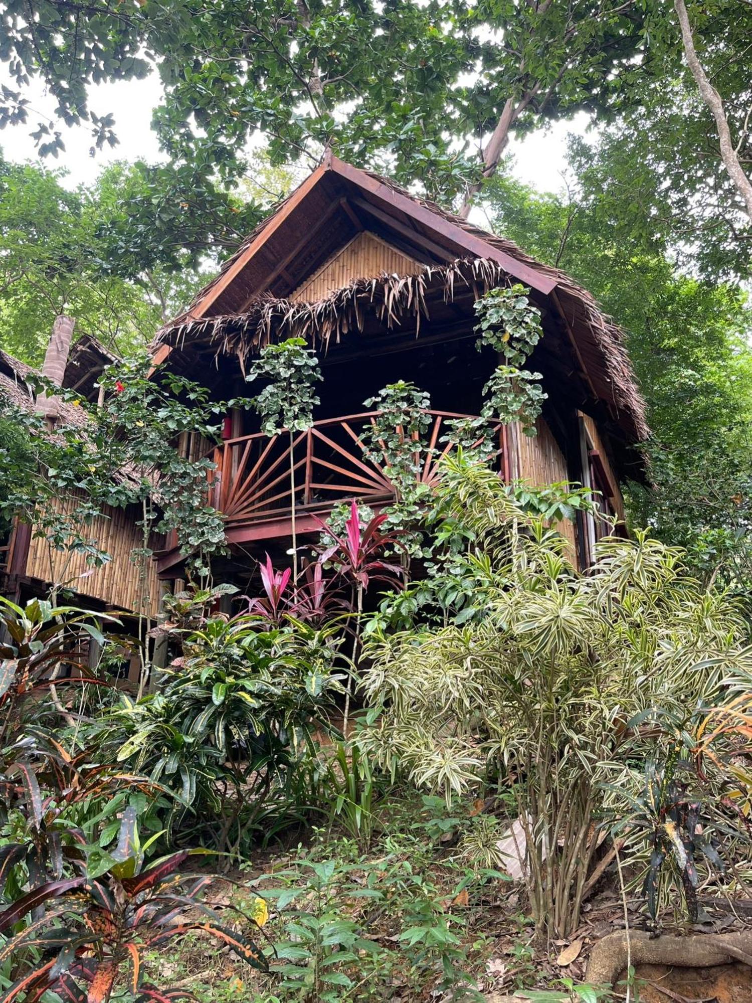 Resort Viking Nature