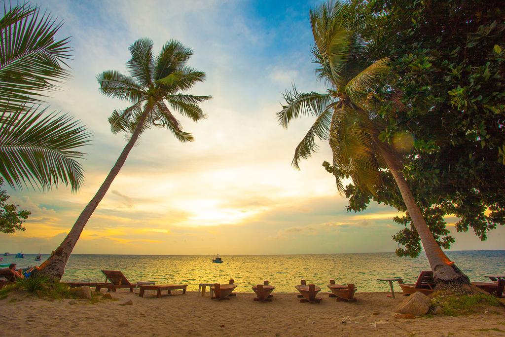 Regal - Sha Resort 3*