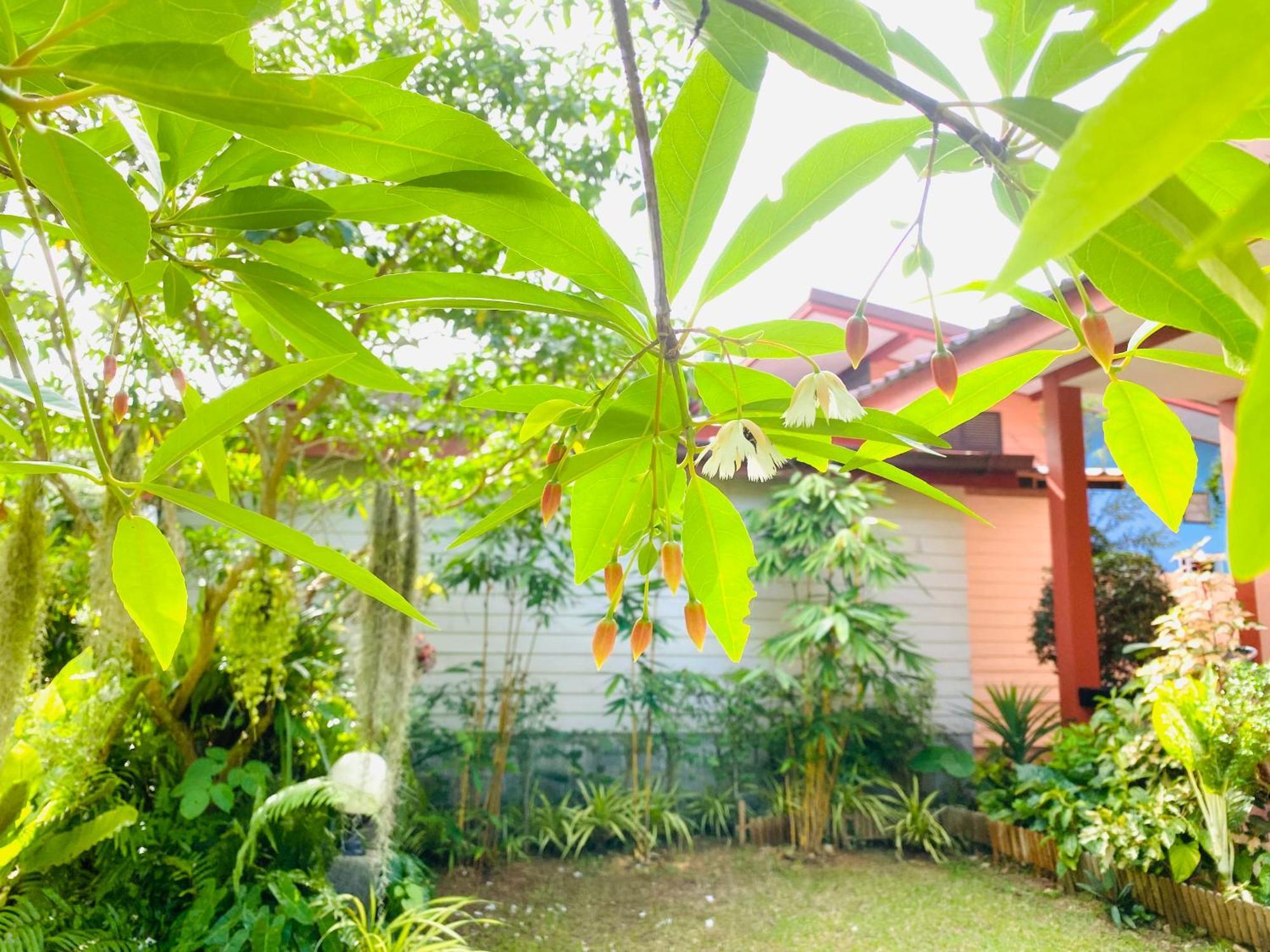 Hostel Baan Longhaad *