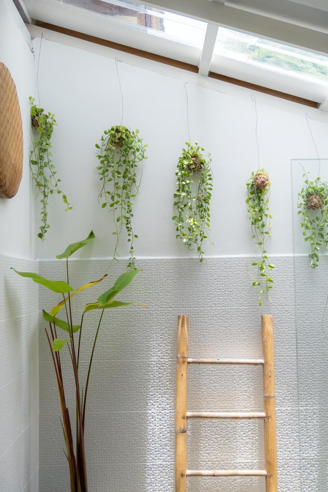 Guest house Oasis Yoga