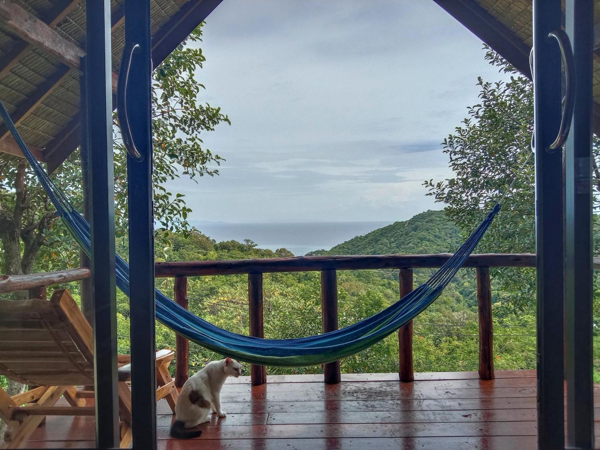 Tree House Hotel