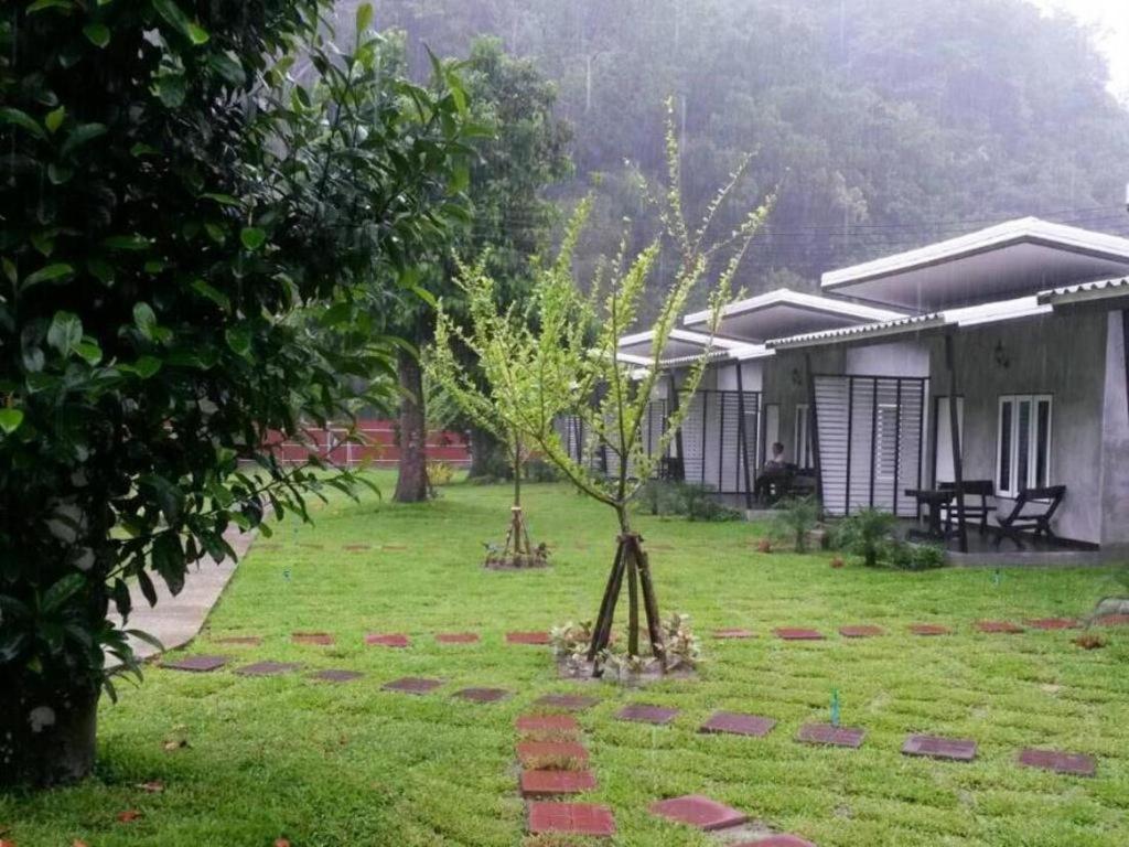 V Valley