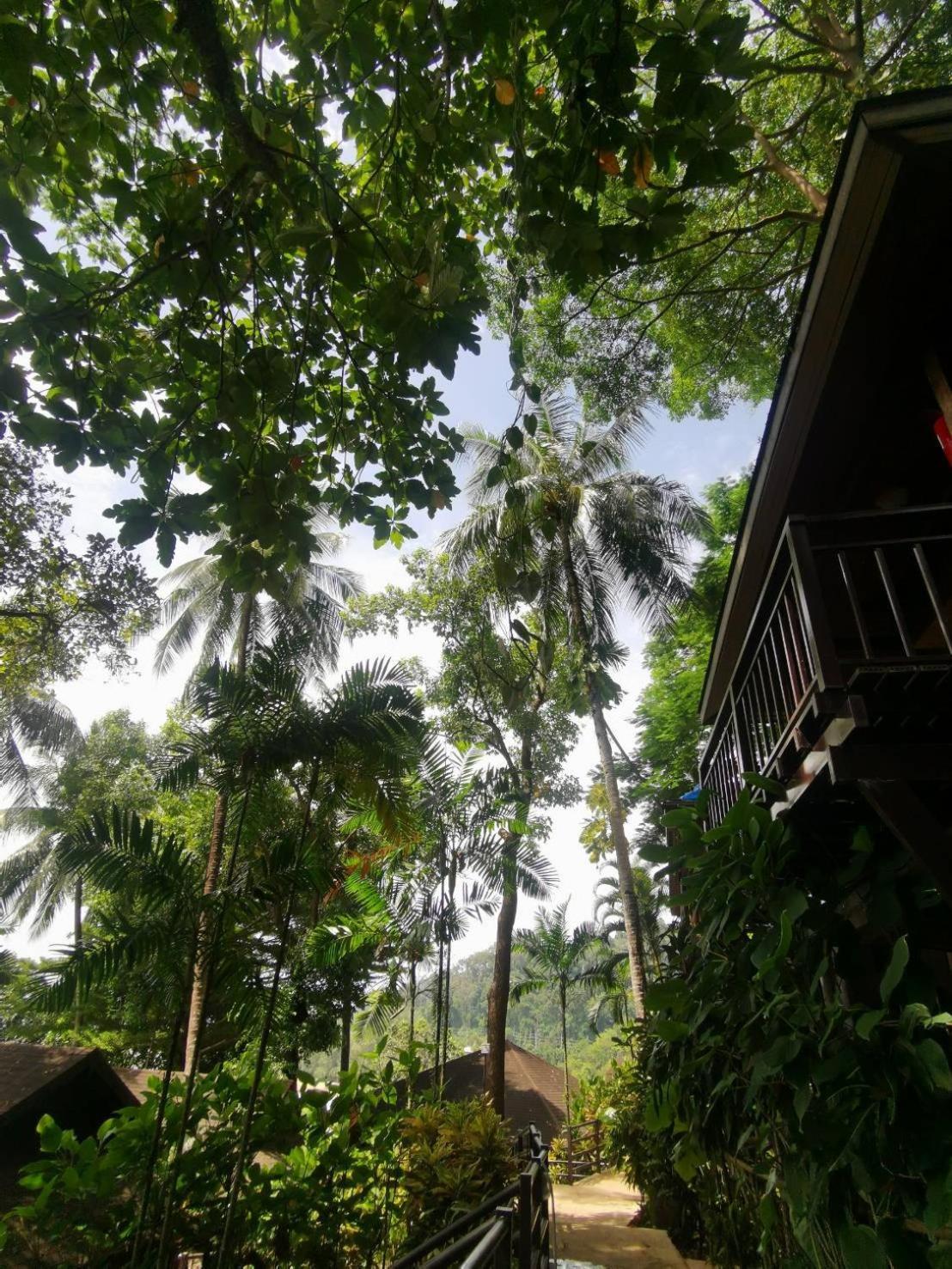 Baan Krating - Sha 3* Khao Lak