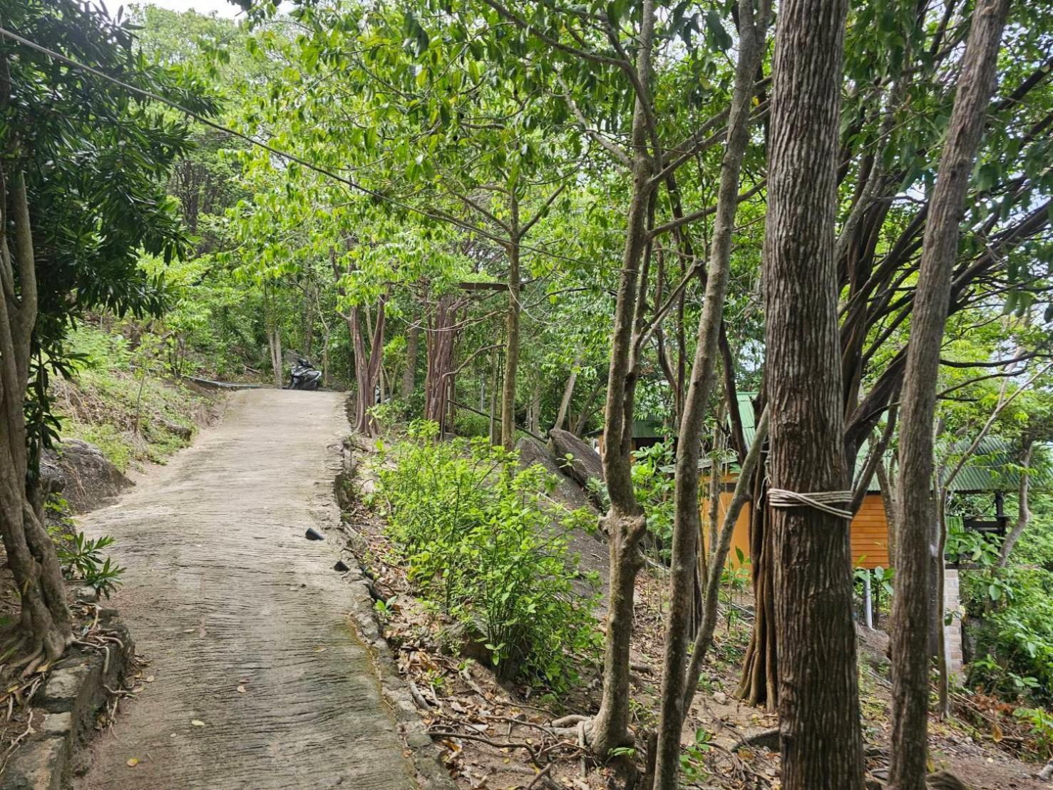 Tao Thong 2 Guest house 4*