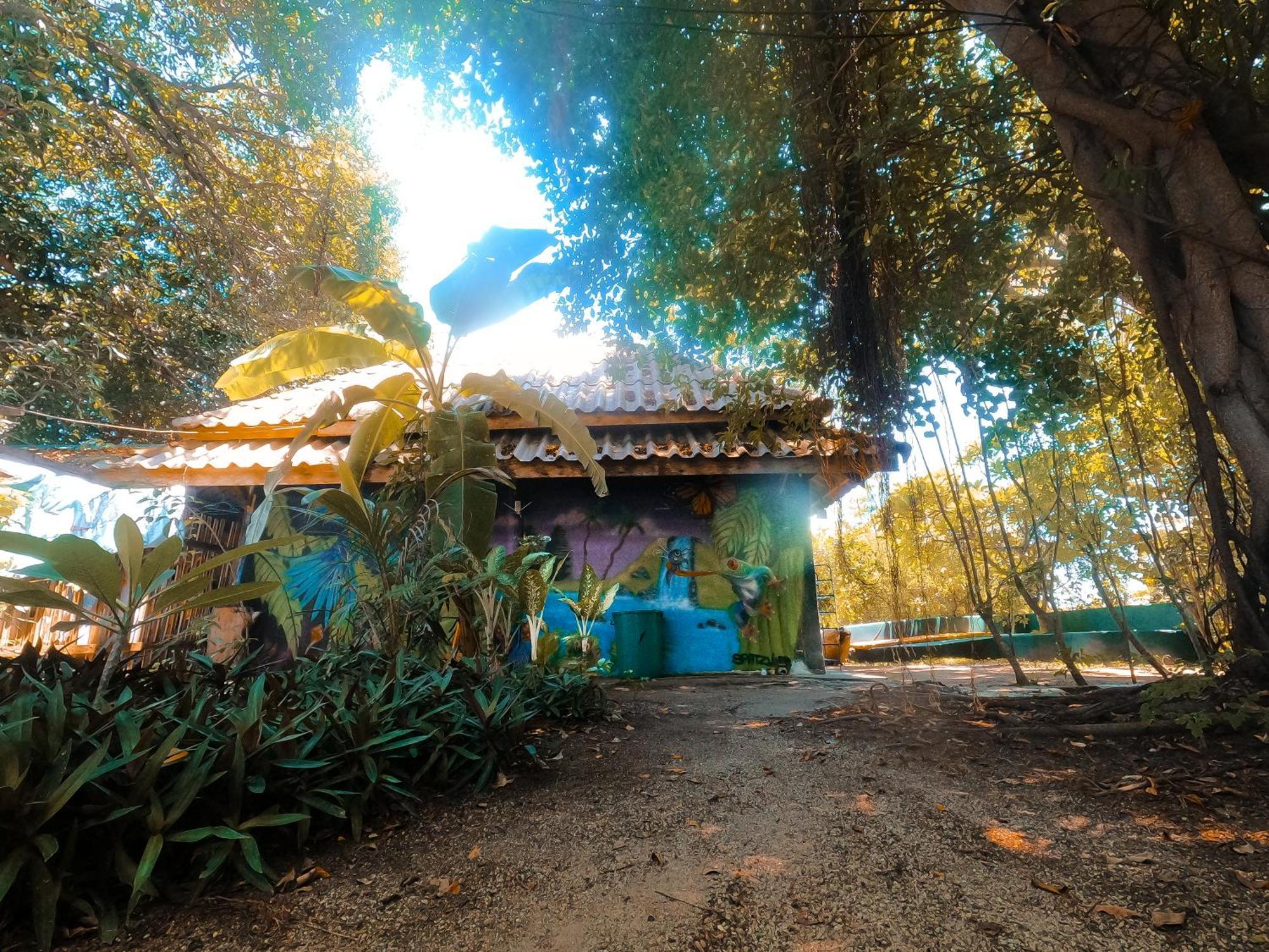 Moov Garden Hostel Koh Tao