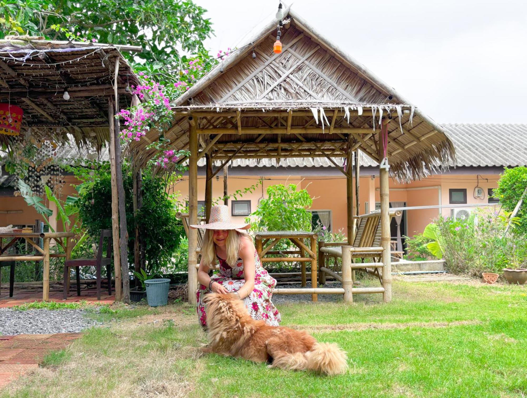 Bed & Breakfast Les Fleurs House