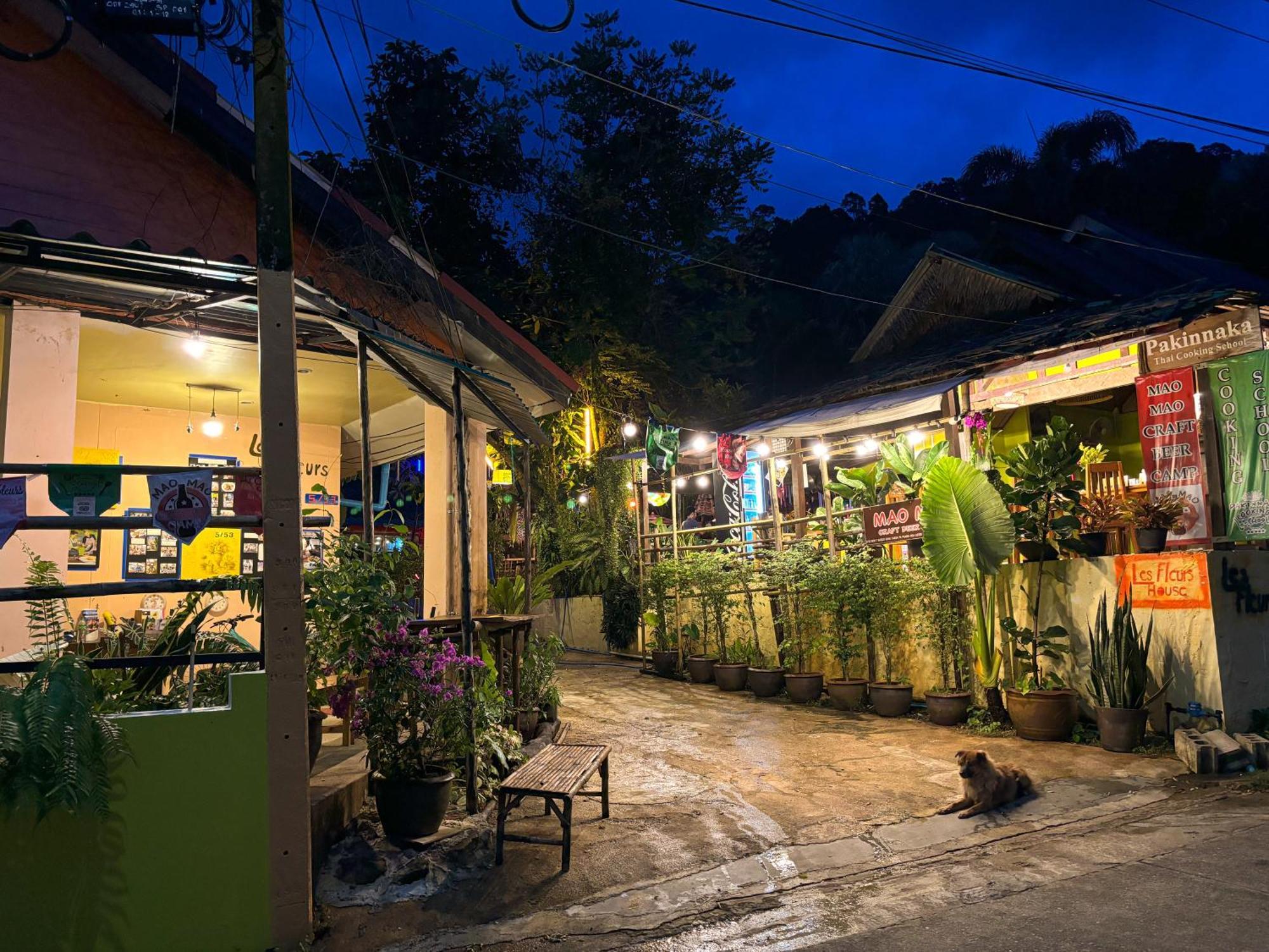 Les Fleurs House Bed & Breakfast 2*