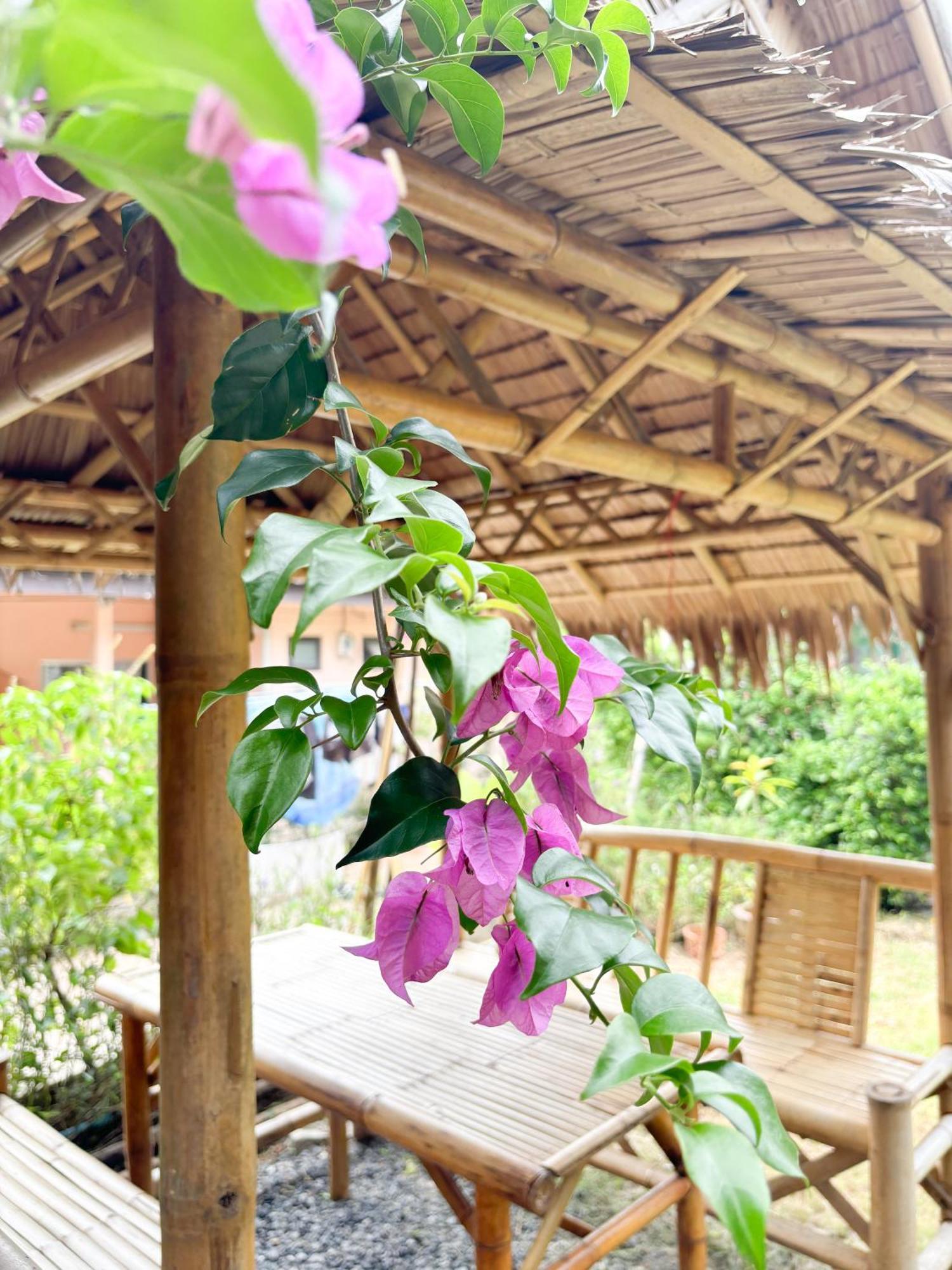 Bed & Breakfast Les Fleurs House Khao Lak