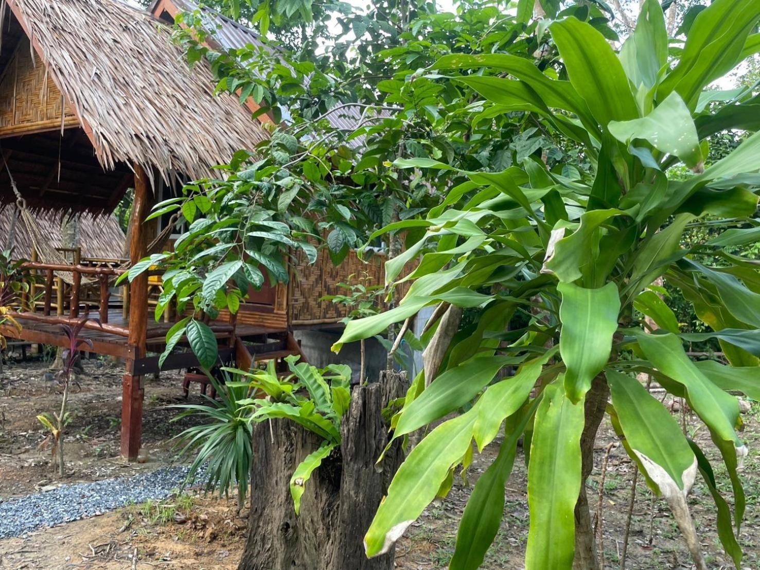 Homestay Dahla Lanta Hut *