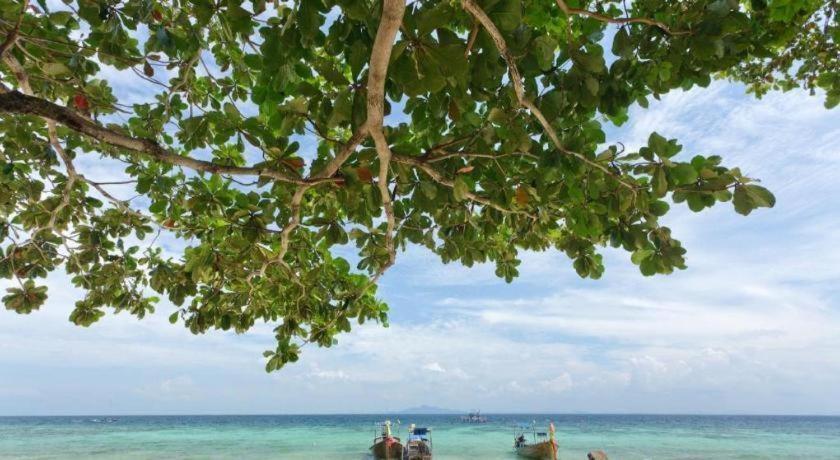 Resort 360 And 4*