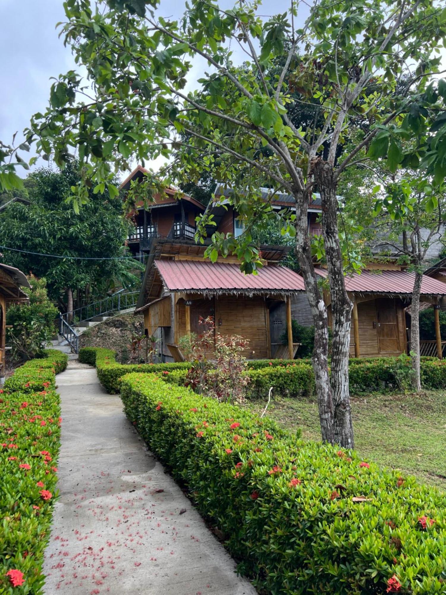 Chom Dao Koh Lanta