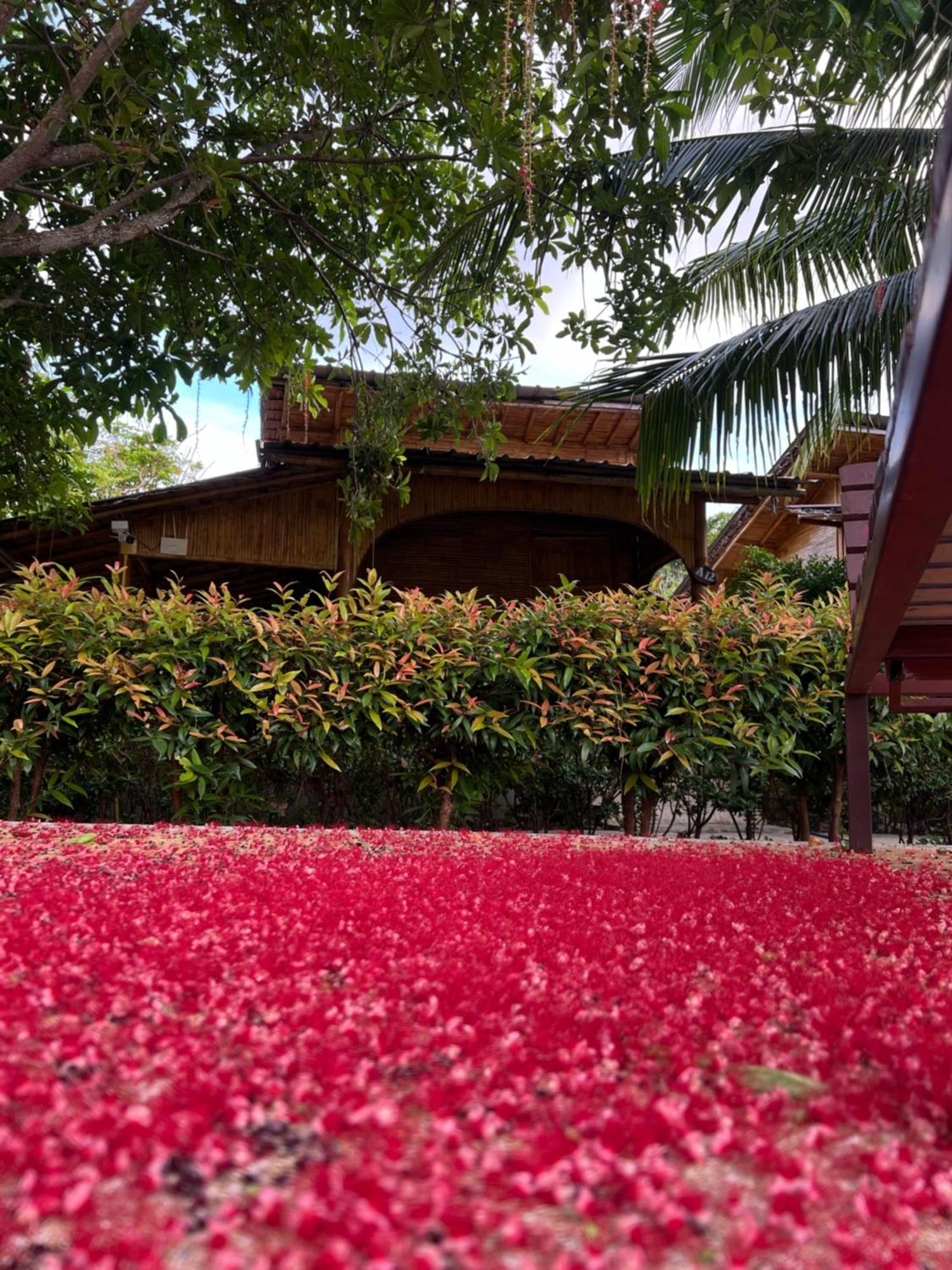 Chom Dao Hotel