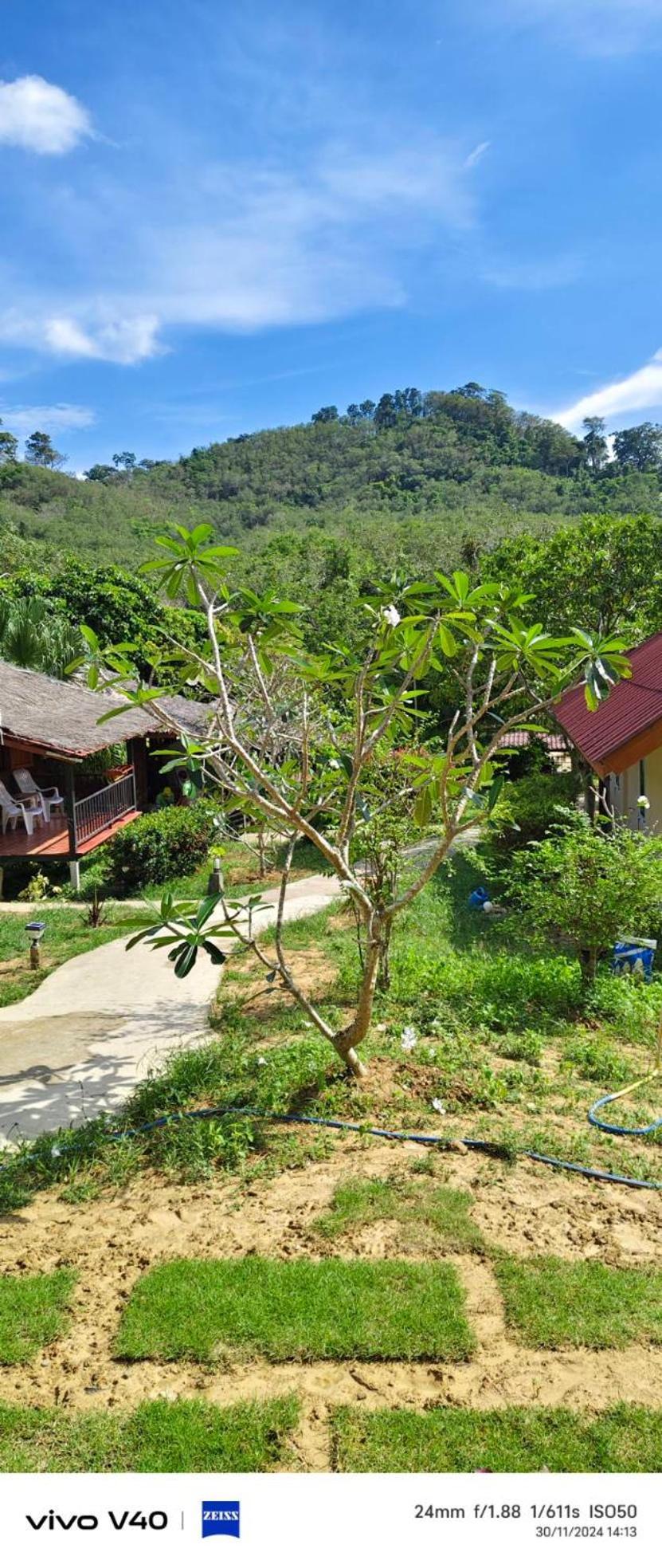 Mookies Guest house Koh Mook