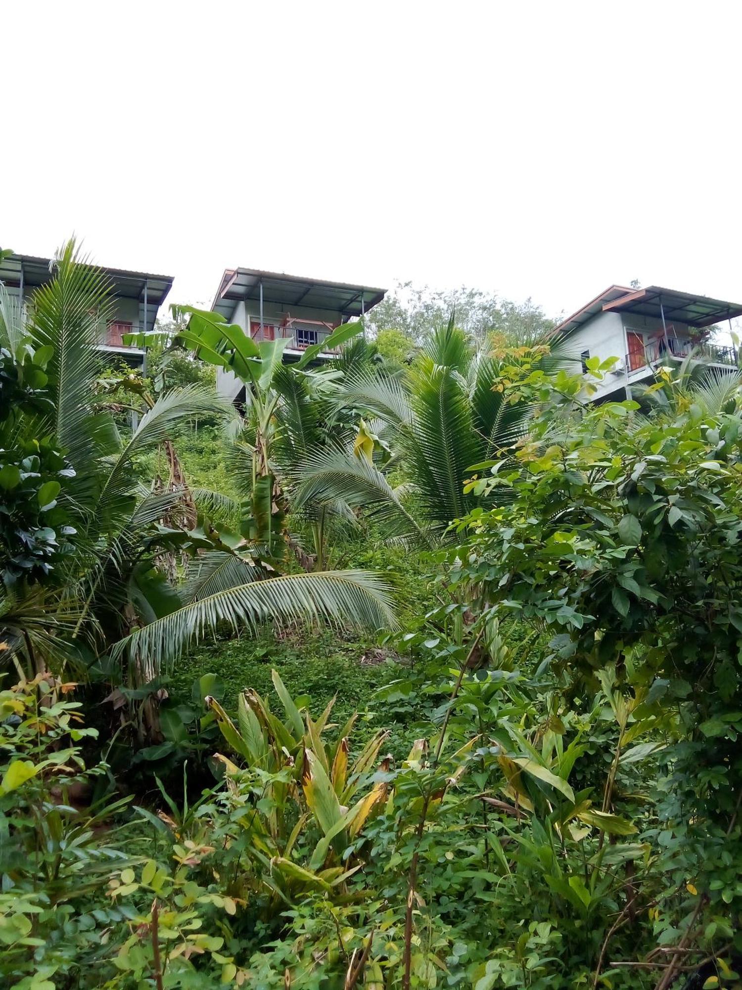 Hubkhao
