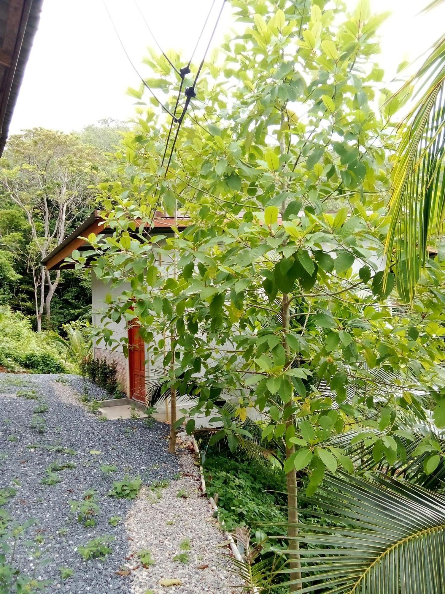 Hubkhao Koh Lanta