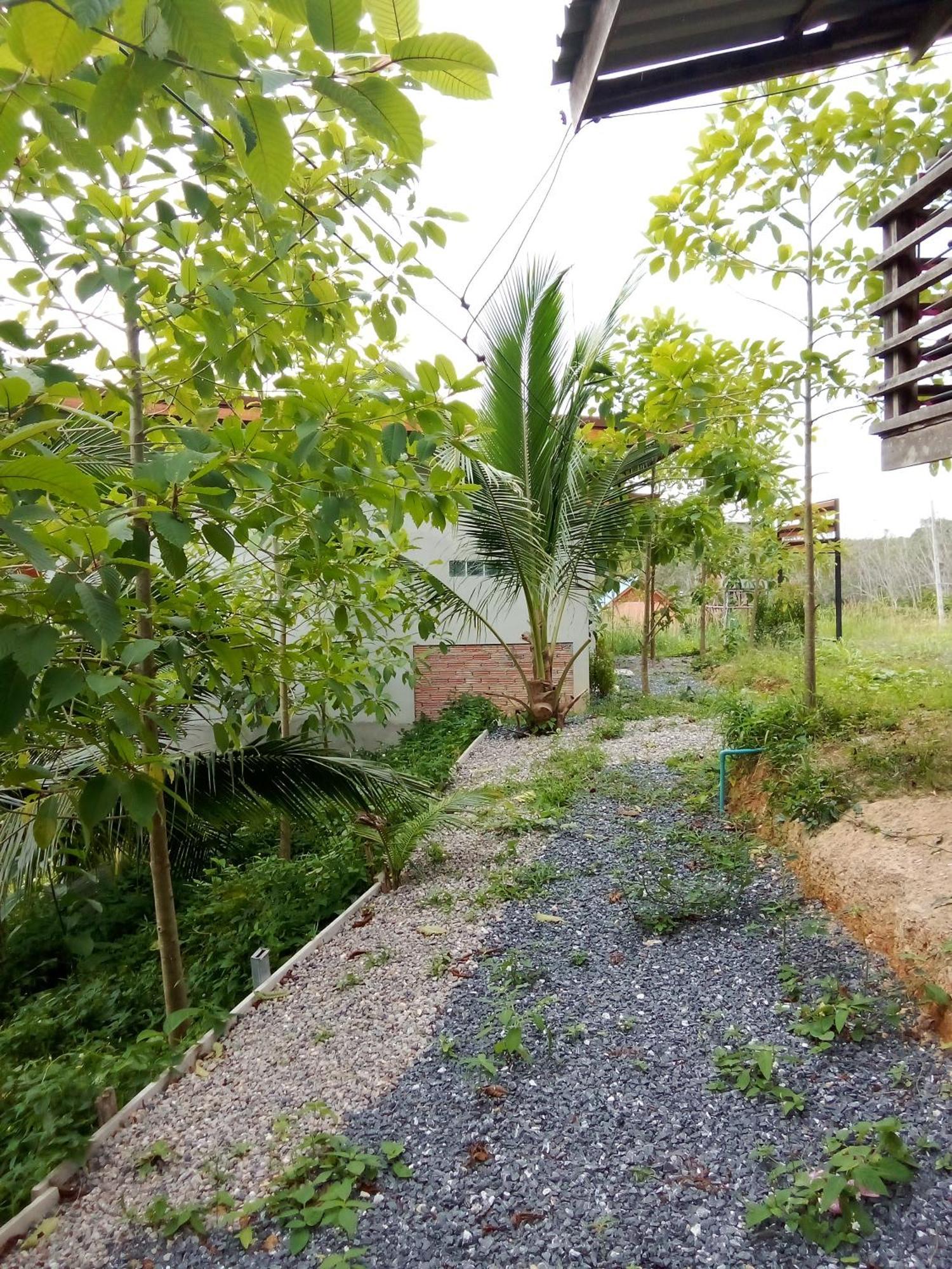 Hubkhao Guest house *