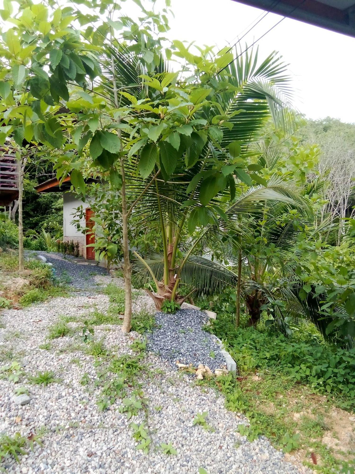 Guest house Hubkhao *