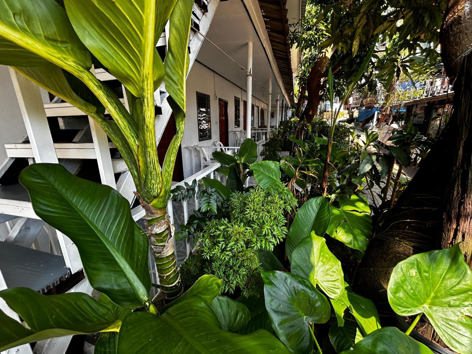 Casa de hóspedes Coco's *