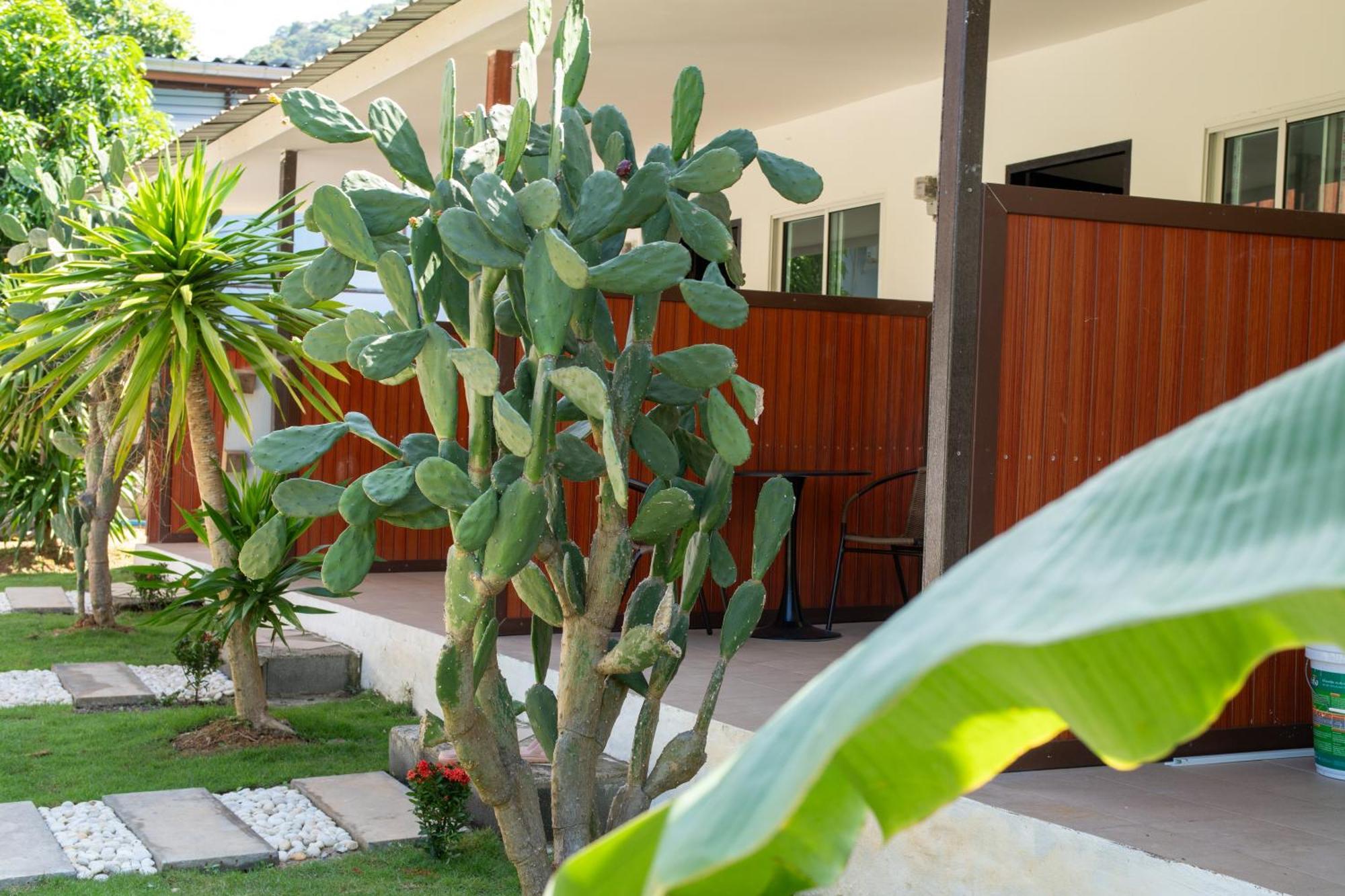 Chill Out Resort Koh Lanta
