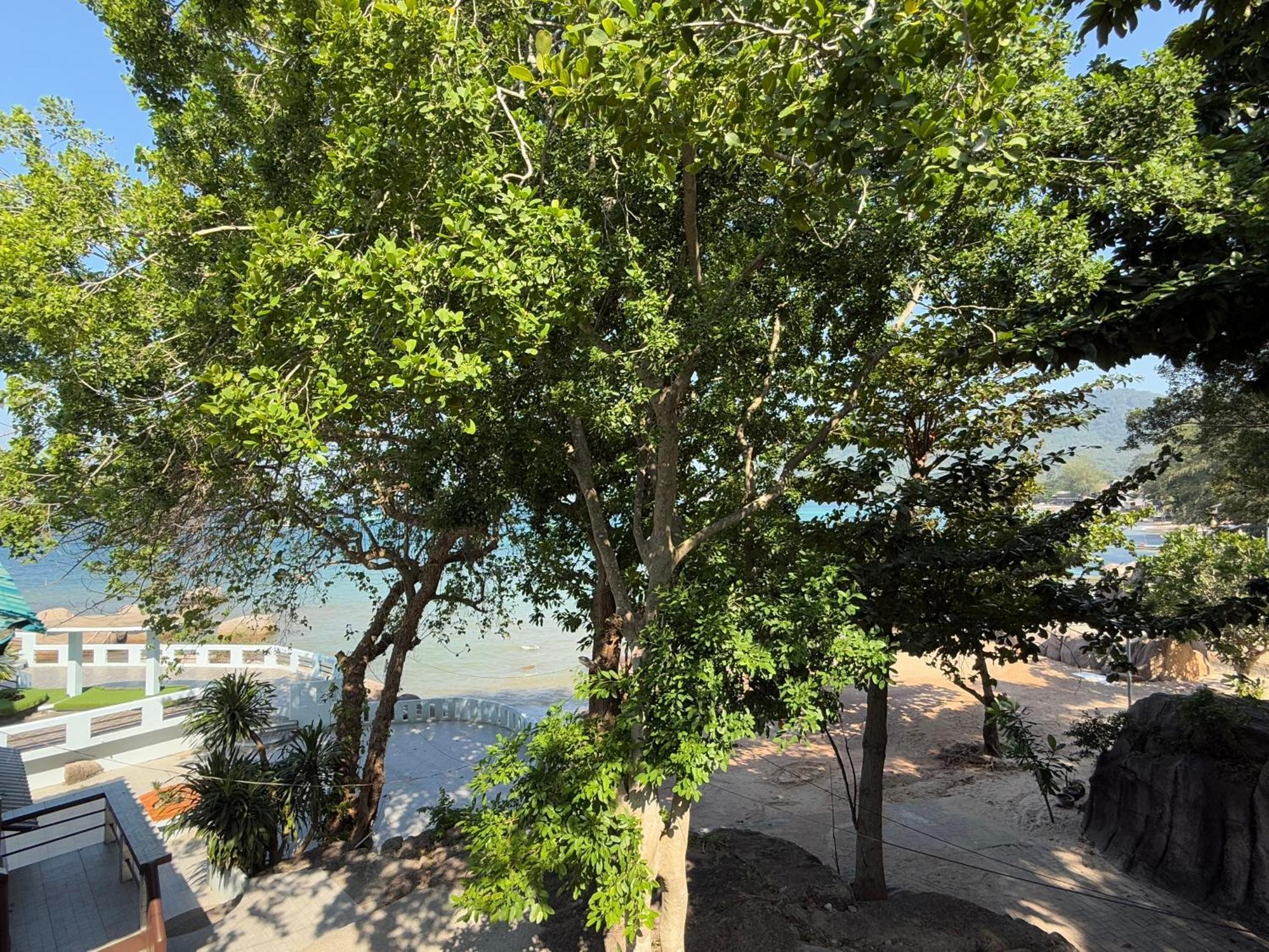 Ocean View Resort