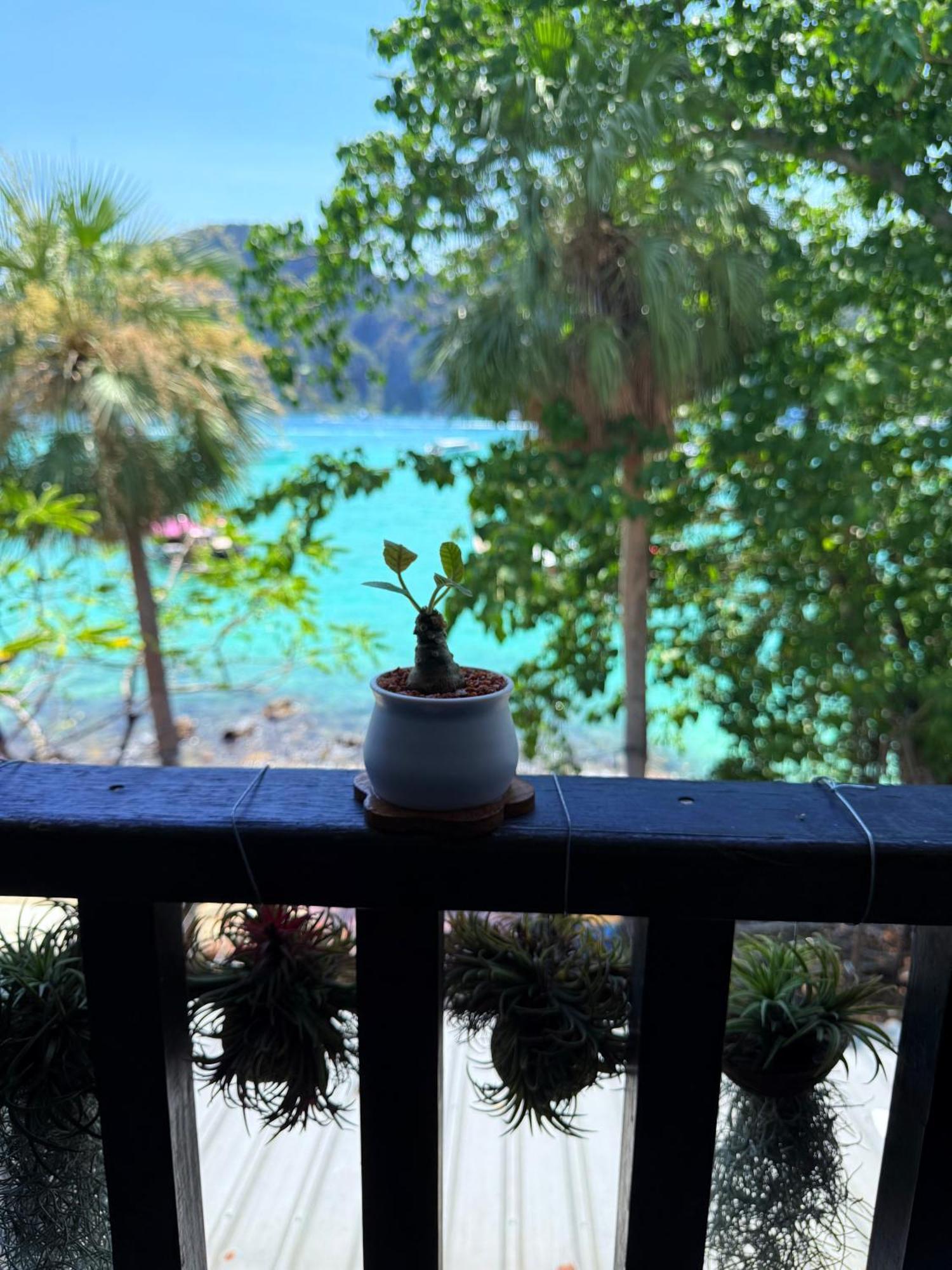 Mild Sea View For Rent * Phi Phi Don