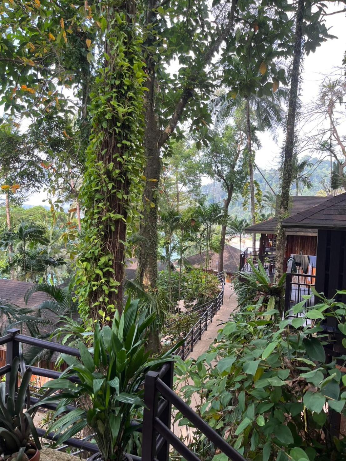 Resort Baan Krating - Sha