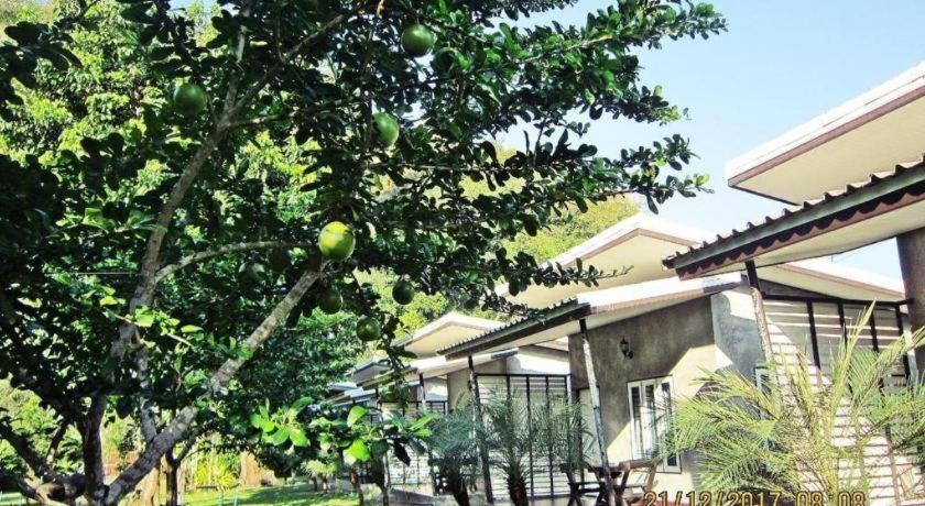 V Valley Resort 4*