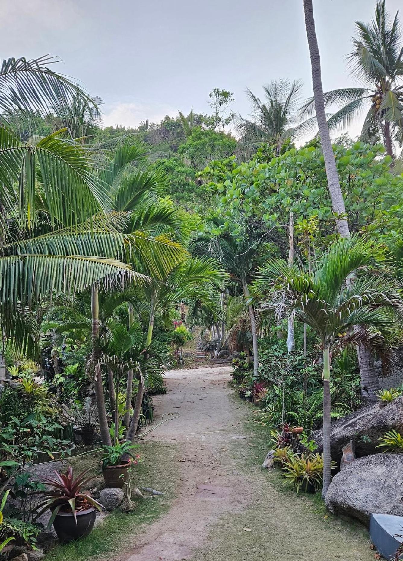 Resort Mountain Reef 3*
