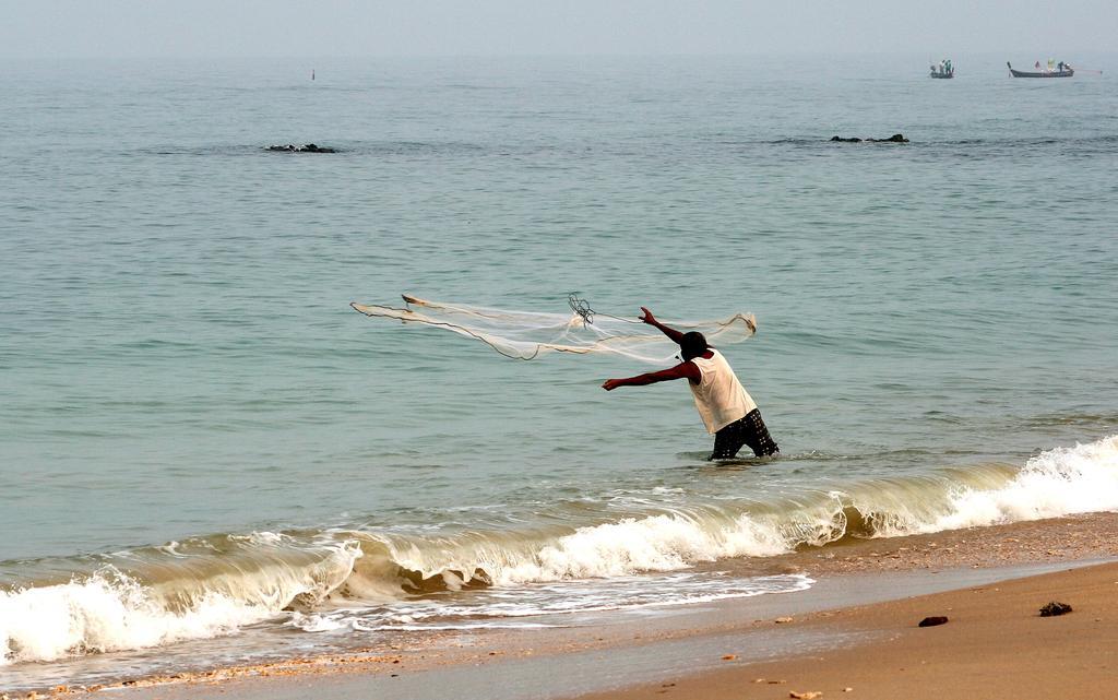 Sea Culture *