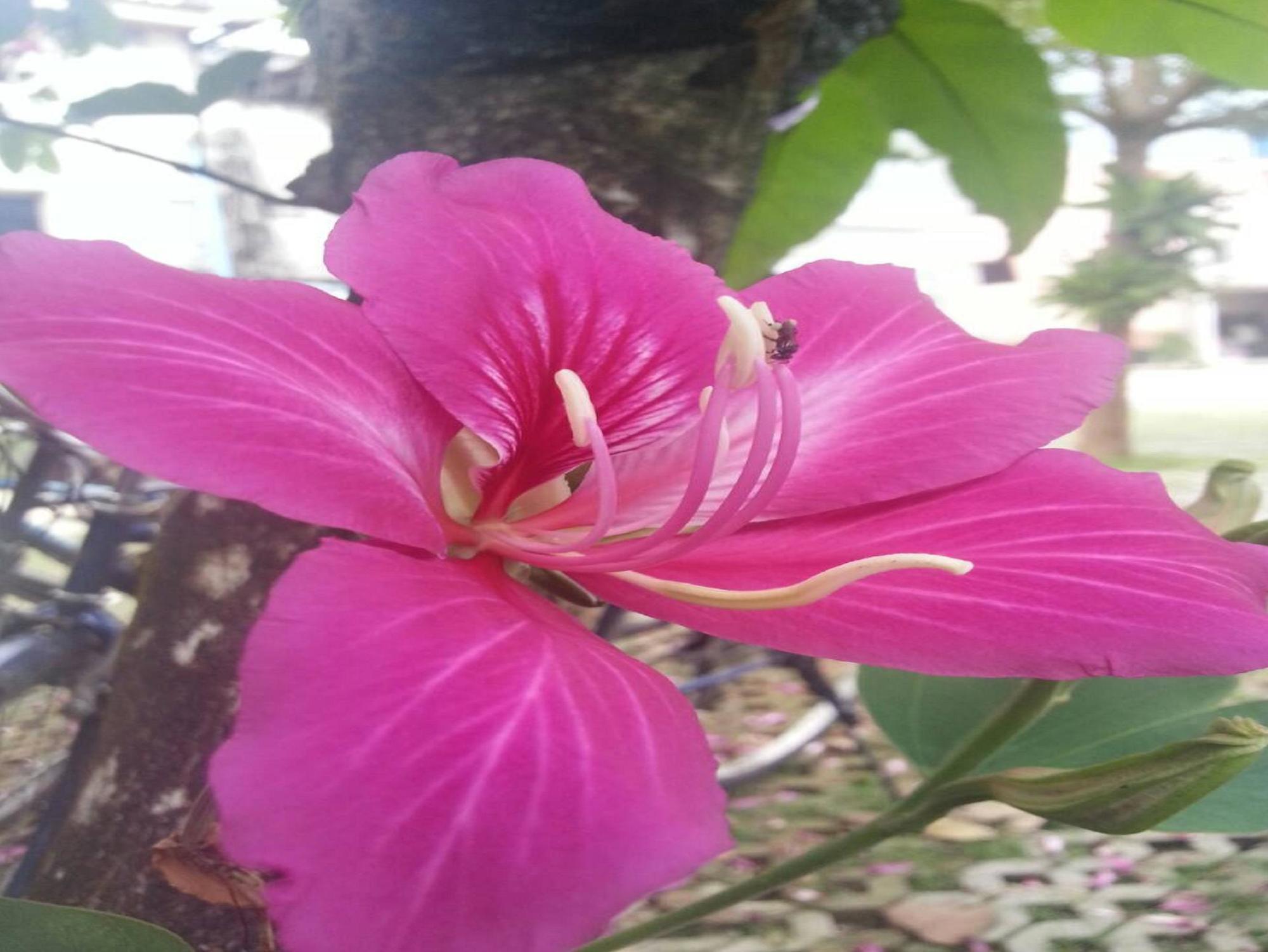 Khaolak Forest 3*
