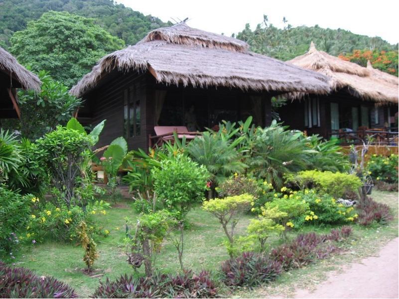 Palm Leaf 3* Koh Tao