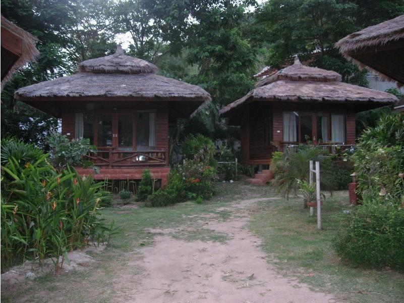 Palm Leaf Koh Tao
