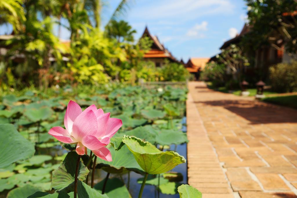 Resort Khaolak Bhandari & Khao Lak
