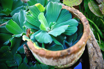 The Tropic Circle 2* Koh Lanta