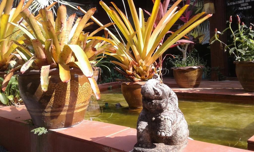 Relax Eco Life Center - Guest house Khao Lak