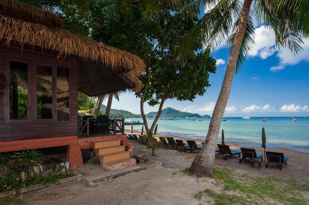 Palm Leaf Koh Tao