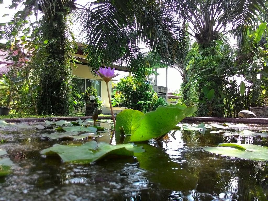 Aathid Garden *