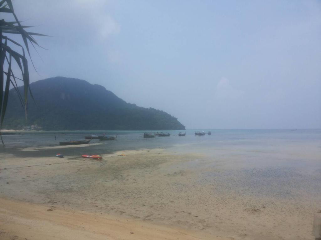 Backpacker *