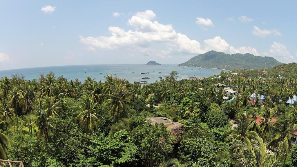 Apartment Seaview Garden