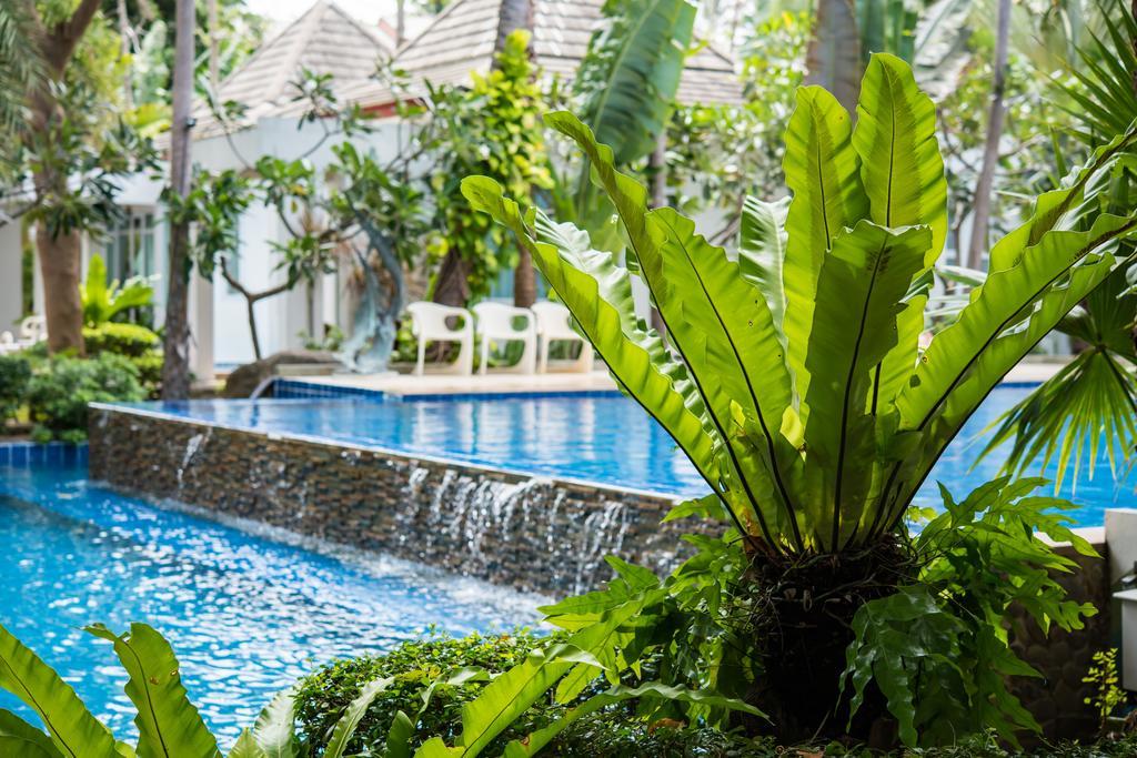 Montra Koh Tao