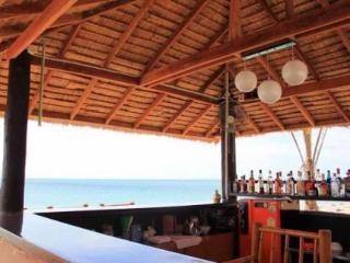 Peace Paradise
