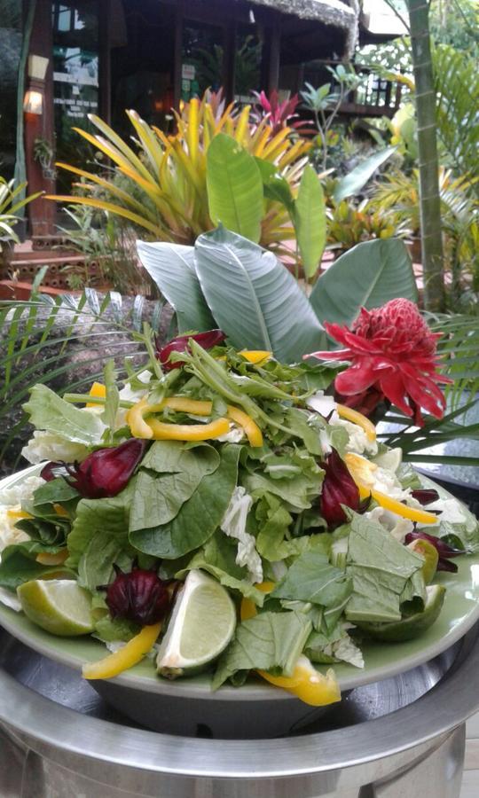 Relax Eco Life Center - Guest house 2*