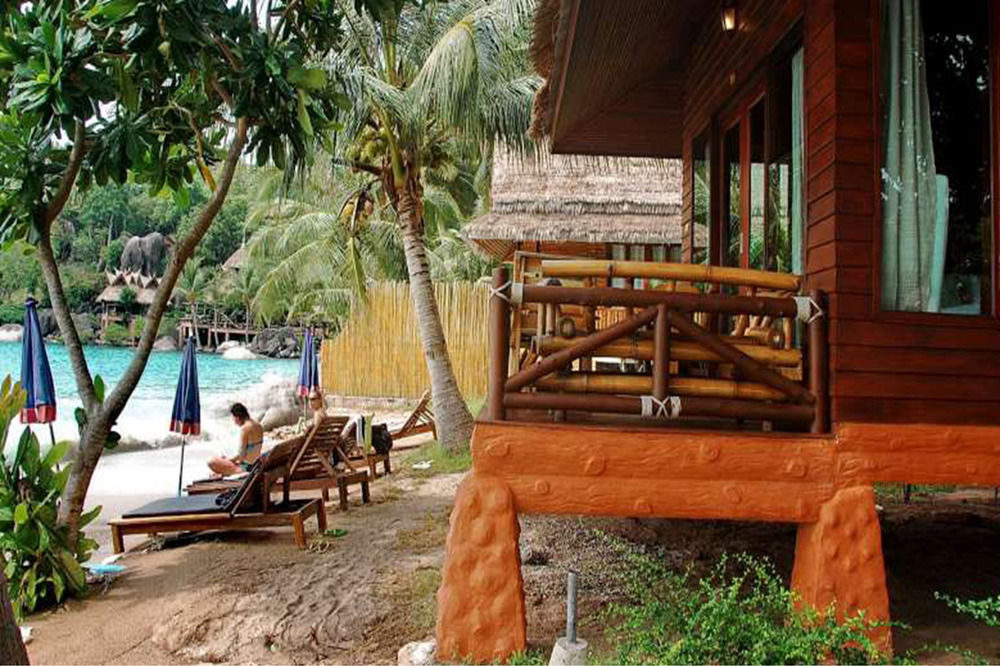 Palm Leaf Koh Tao
