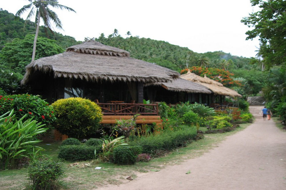 Palm Leaf Koh Tao