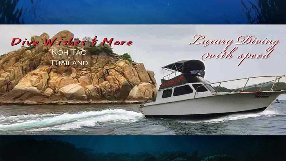 The Miracle & Diving Guest house